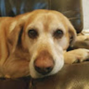 Meet your Posher, Jojo